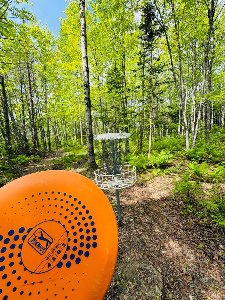 disque golf 2026 2